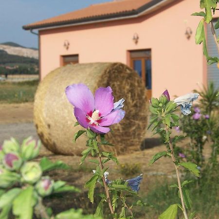 Agriturismo La Nocciolina Venturina Terme Exteriér fotografie
