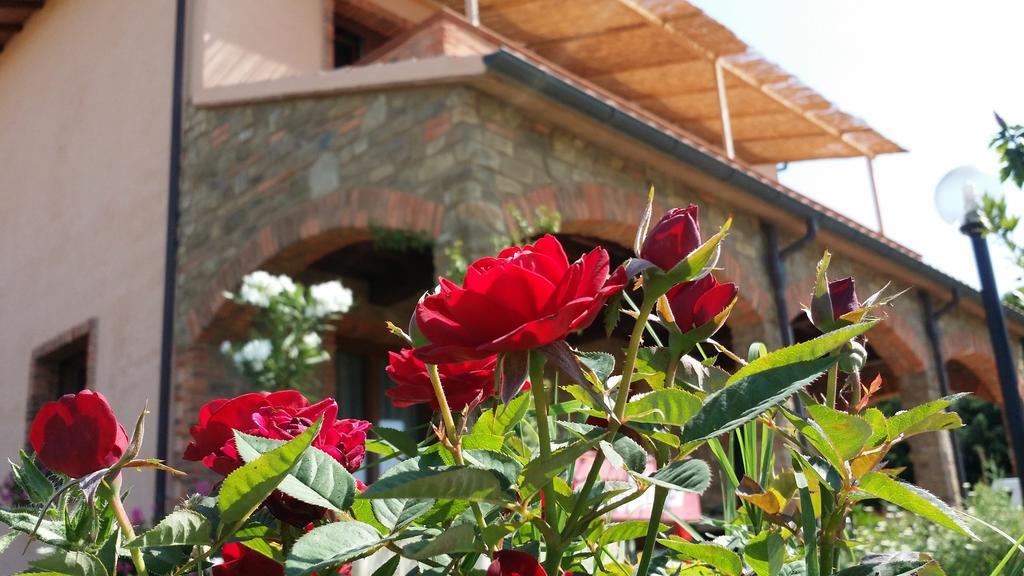 Agriturismo La Nocciolina Venturina Terme Exteriér fotografie