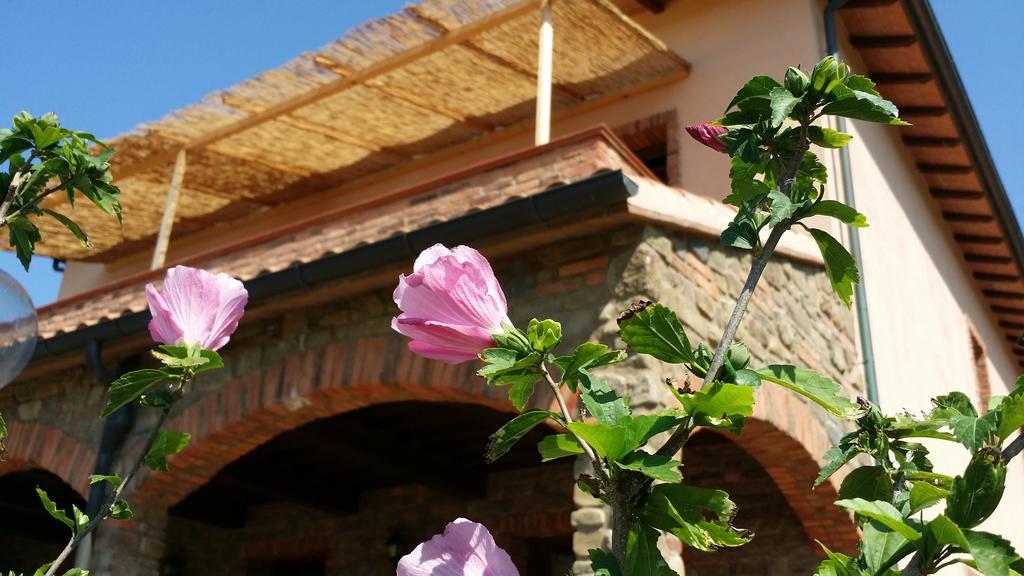 Agriturismo La Nocciolina Venturina Terme Exteriér fotografie