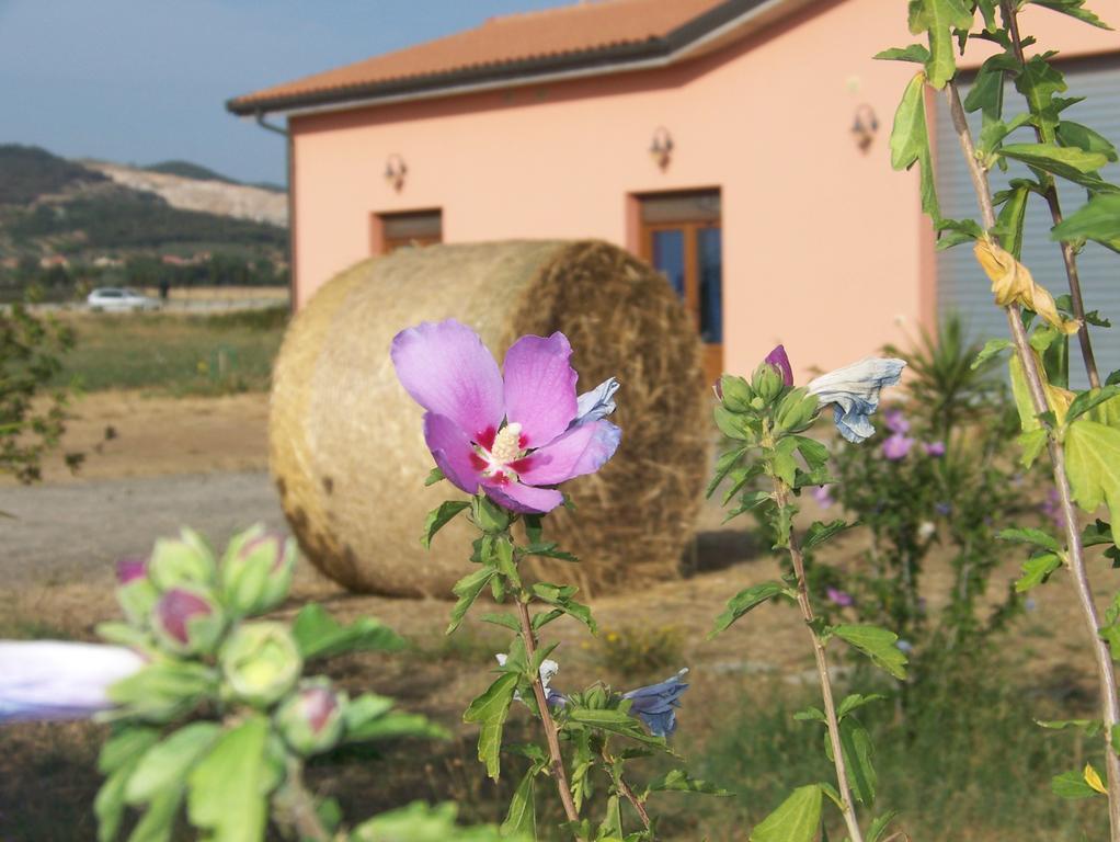 Agriturismo La Nocciolina Venturina Terme Exteriér fotografie