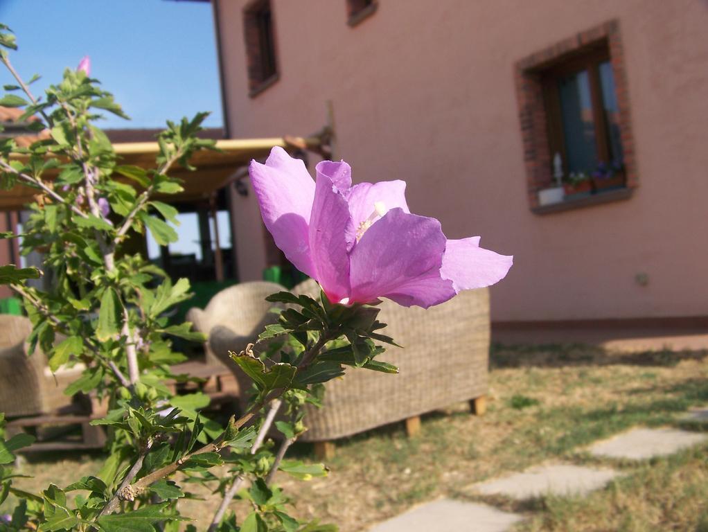 Agriturismo La Nocciolina Venturina Terme Exteriér fotografie